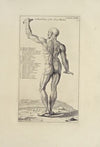 Anatomy improv’d and illustrated with regard to the uses thereof in designing Pl.23