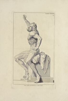 Anatomy improv’d and illustrated with regard to the uses thereof in designing Pl.28