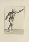 Anatomy improv’d and illustrated with regard to the uses thereof in designing Pl.30