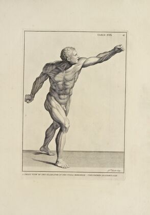 Anatomy improv’d and illustrated with regard to the uses thereof in designing Pl.30