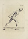 Anatomy improv’d and illustrated with regard to the uses thereof in designing Pl.32