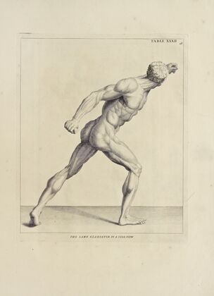 Anatomy improv’d and illustrated with regard to the uses thereof in designing Pl.32