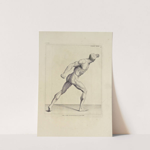 Anatomy improv'd and illustrated with regard to the uses thereof in designing Pl.32 by Michael van der Gucht