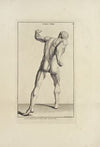 Anatomy improv’d and illustrated with regard to the uses thereof in designing Pl.33