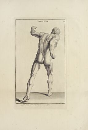 Anatomy improv’d and illustrated with regard to the uses thereof in designing Pl.33