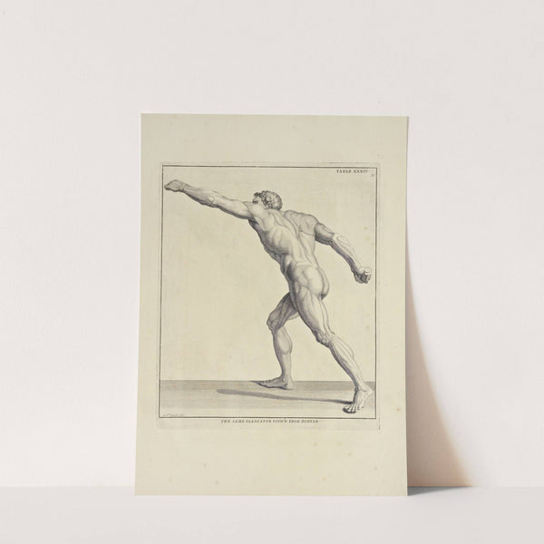 Anatomy improv'd and illustrated with regard to the uses thereof in designing Pl.34 by Michael van der Gucht