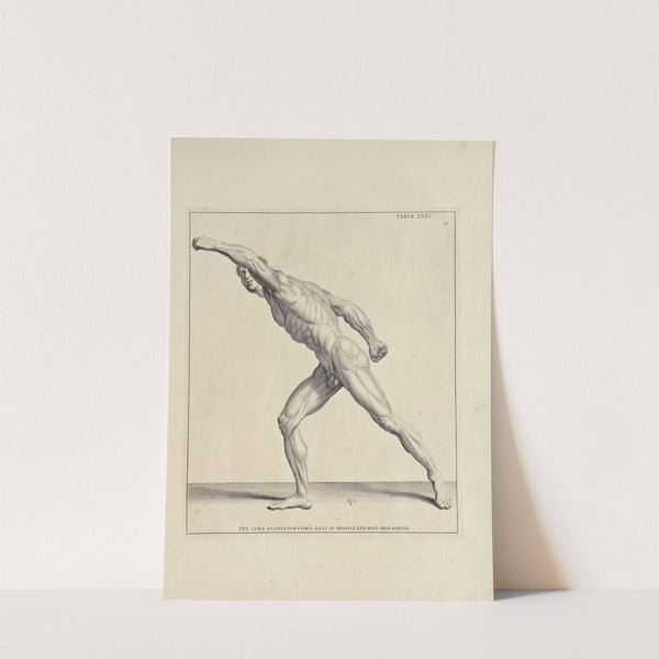 Anatomy improv'd and illustrated with regard to the uses thereof in designing Pl.35 by Michael van der Gucht