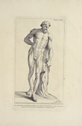 Anatomy improv’d and illustrated with regard to the uses thereof in designing Pl.36