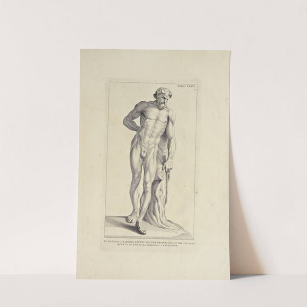 Anatomy improv'd and illustrated with regard to the uses thereof in designing Pl.36 by Michael van der Gucht