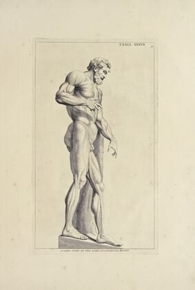 Anatomy improv’d and illustrated with regard to the uses thereof in designing Pl.37