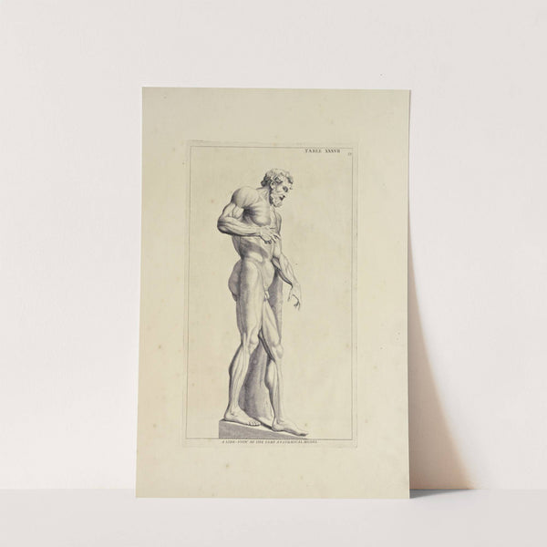 Anatomy improv'd and illustrated with regard to the uses thereof in designing Pl.37 by Michael van der Gucht