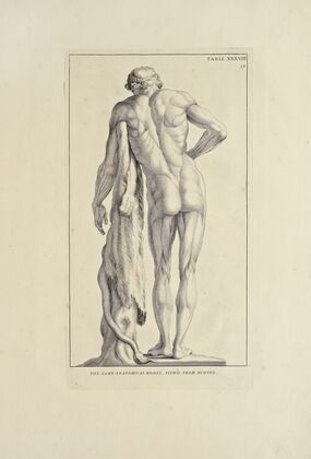 Anatomy improv’d and illustrated with regard to the uses thereof in designing Pl.38