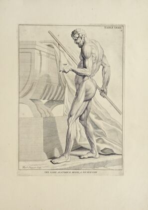 Anatomy improv’d and illustrated with regard to the uses thereof in designing Pl.39