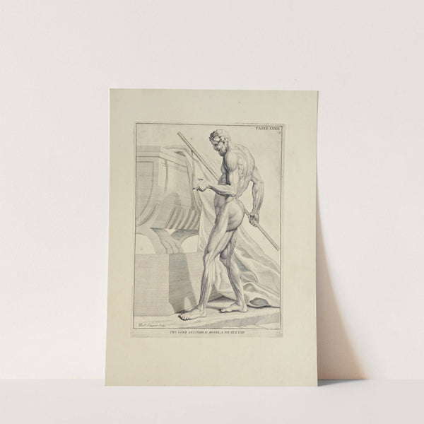 Anatomy improv'd and illustrated with regard to the uses thereof in designing Pl.39 by Michael van der Gucht