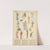 Ancient Egypt - Skirts, tunics, ornaments by Paul Louis de Giafferri