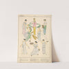 Ancient Greece - Dresses by Paul Louis de Giafferri