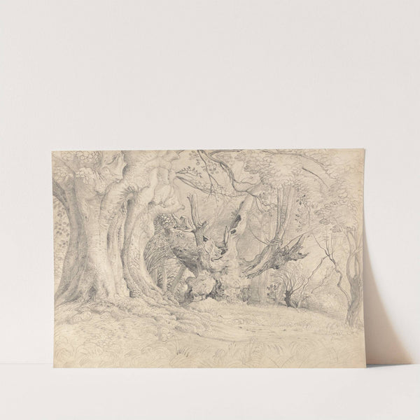 Ancient Trees, Lullingstone Park by Samuel Palmer