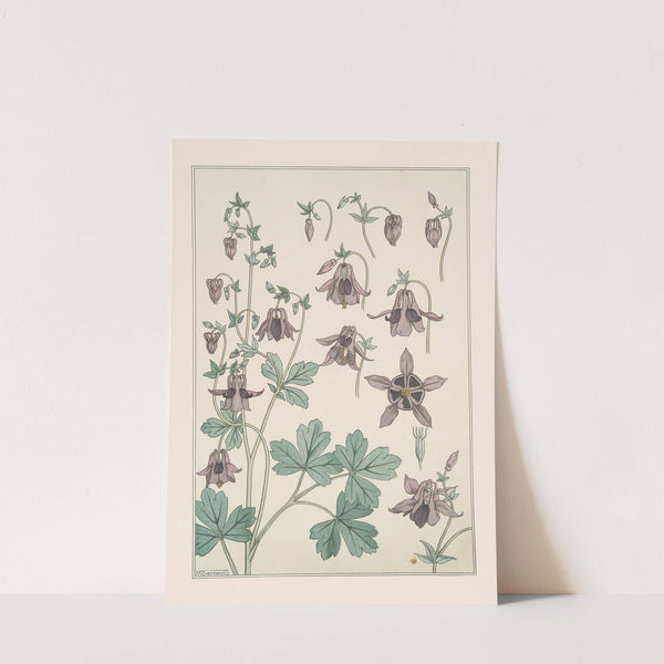 Ancolie by Maurice Pillard Verneuil