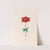 Anemone (1692) by Magdelena Rosina Funck