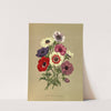 Anemone Coronaria (Single Anemones) (1872-1881) by Arentina Hendrica Arendsen