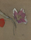 Anemone (1942)