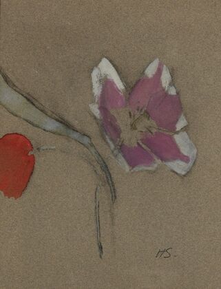 Anemone (1942)
