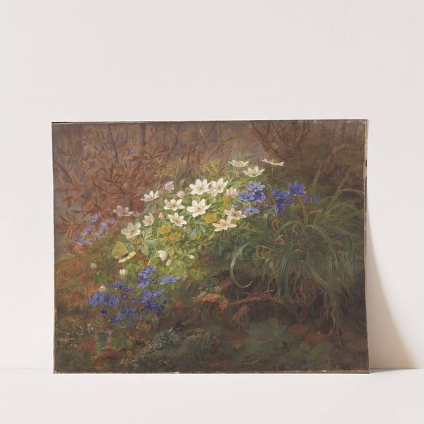 Anemoner by Anthonie Christensen