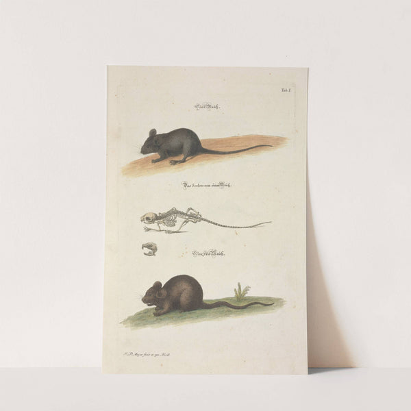 Angenehmer und nützlicher Zeit-Vertreib Pl.001 (1748) by Johann Daniel Meyer