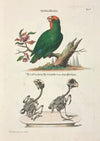 Angenehmer und nützlicher Zeit-Vertreib Pl.005 (1748)