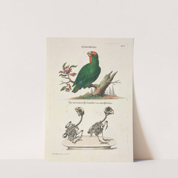 Angenehmer und nützlicher Zeit-Vertreib Pl.005 (1748) by Johann Daniel Meyer