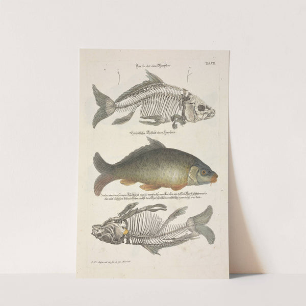 Angenehmer und nützlicher Zeit-Vertreib Pl.007 (1748) by Johann Daniel Meyer