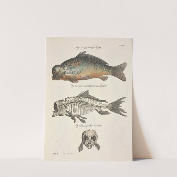 Angenehmer und nützlicher Zeit-Vertreib Pl.008 (1748) by Johann Daniel Meyer