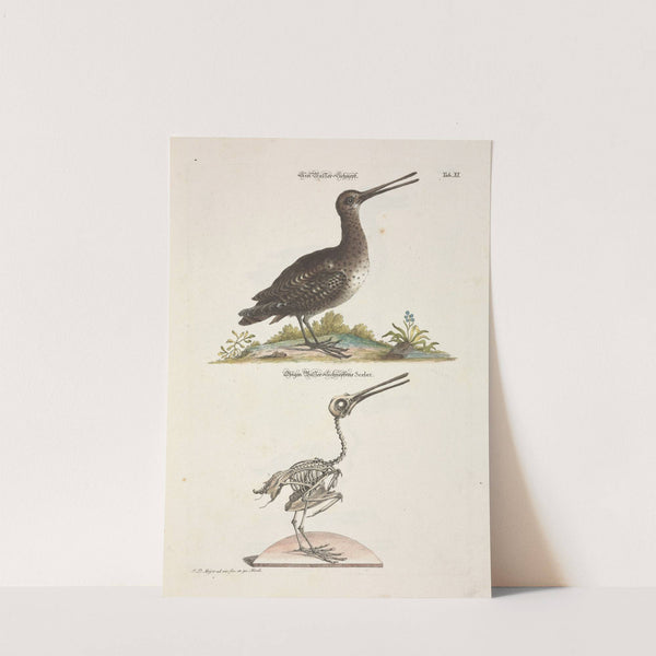 Angenehmer und nützlicher Zeit-Vertreib Pl.011 (1748) by Johann Daniel Meyer