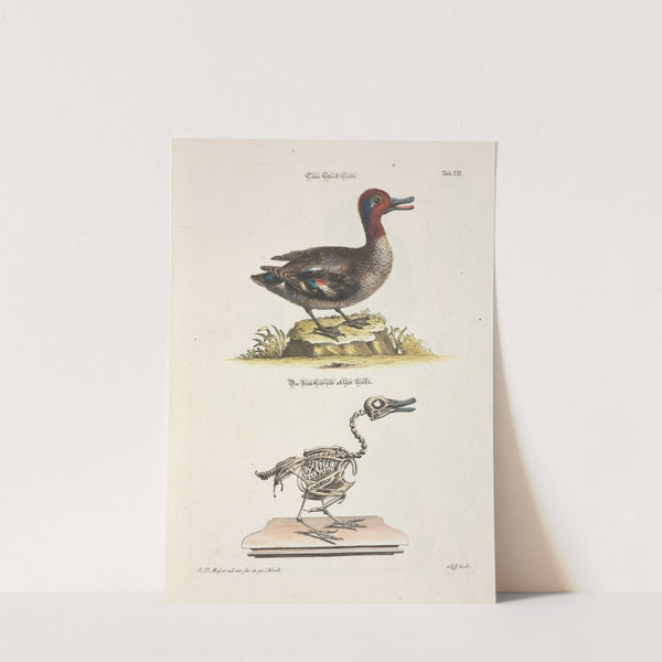 Angenehmer und nützlicher Zeit-Vertreib Pl.012 (1748) by Johann Daniel Meyer