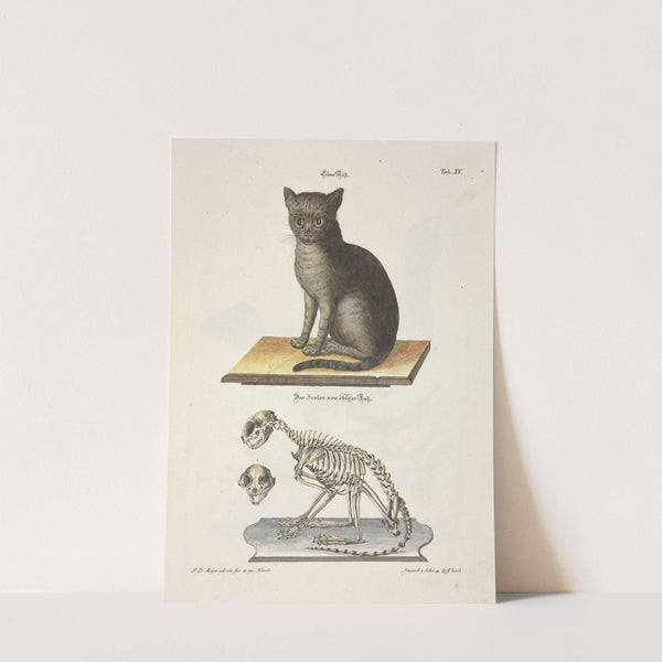 Angenehmer und nützlicher Zeit-Vertreib Pl.015 (1748) by Johann Daniel Meyer