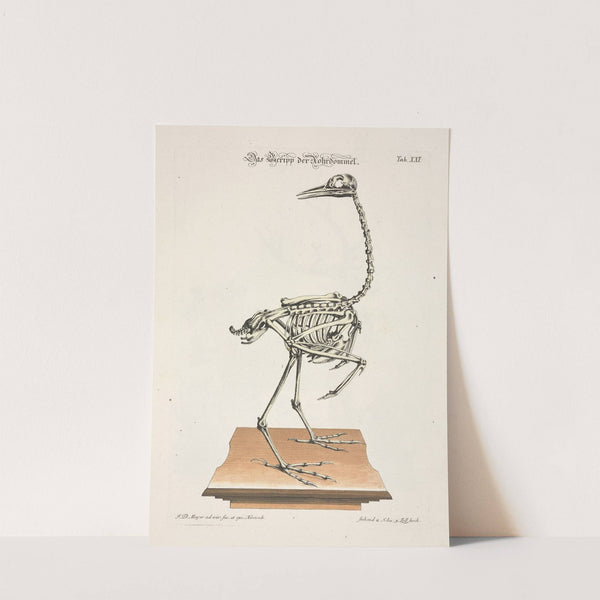 Angenehmer und nützlicher Zeit-Vertreib Pl.021 (1748) by Johann Daniel Meyer