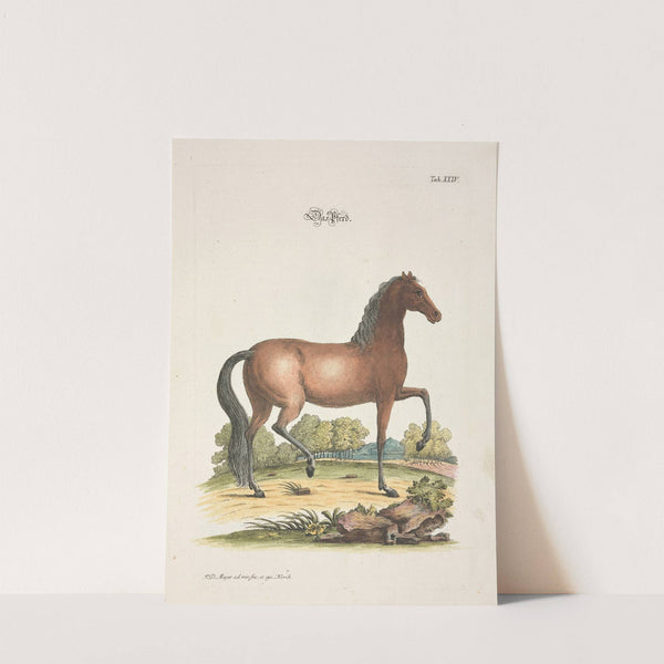 Angenehmer und nützlicher Zeit-Vertreib Pl.024 (1748) by Johann Daniel Meyer