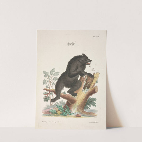 Angenehmer und nützlicher Zeit-Vertreib Pl.026 (1748) by Johann Daniel Meyer