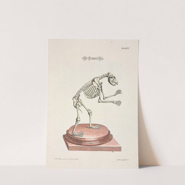 Angenehmer und nützlicher Zeit-Vertreib Pl.027 (1748) by Johann Daniel Meyer