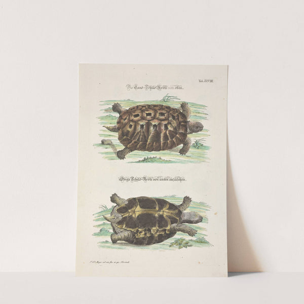 Angenehmer und nützlicher Zeit-Vertreib Pl.028 (1748) by Johann Daniel Meyer