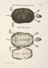Angenehmer und nützlicher Zeit-Vertreib Pl.029 (1748)