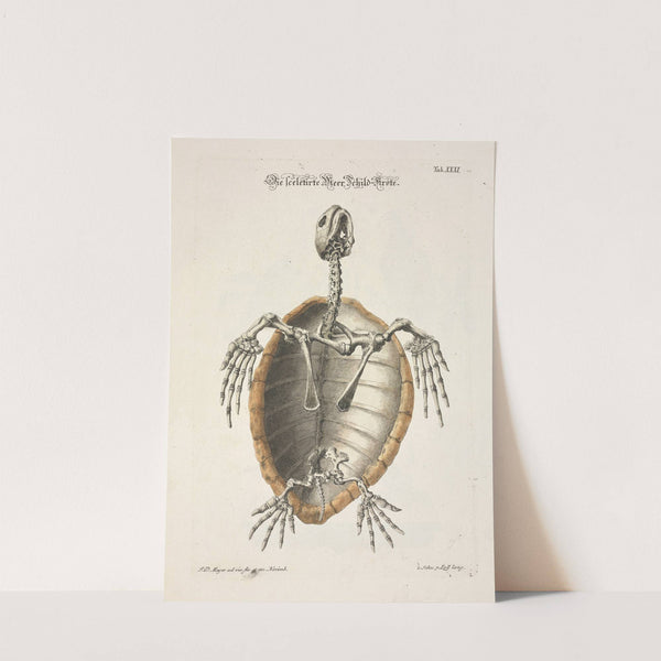 Angenehmer und nützlicher Zeit-Vertreib Pl.031 (1748) by Johann Daniel Meyer