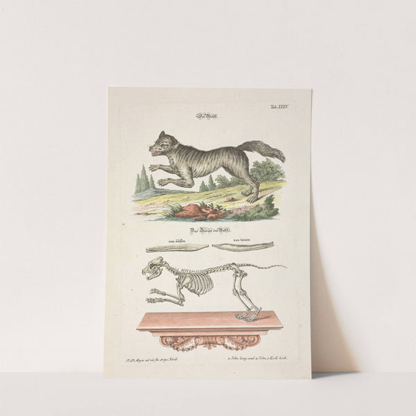 Angenehmer und nützlicher Zeit-Vertreib Pl.035 (1748) by Johann Daniel Meyer