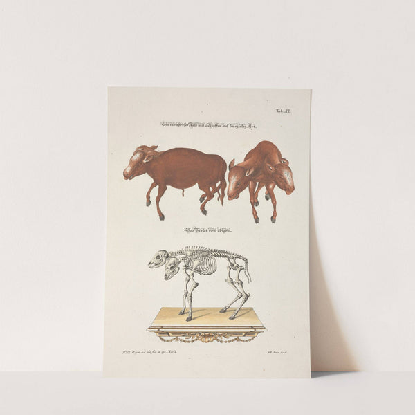 Angenehmer und nützlicher Zeit-Vertreib Pl.040 (1748) by Johann Daniel Meyer