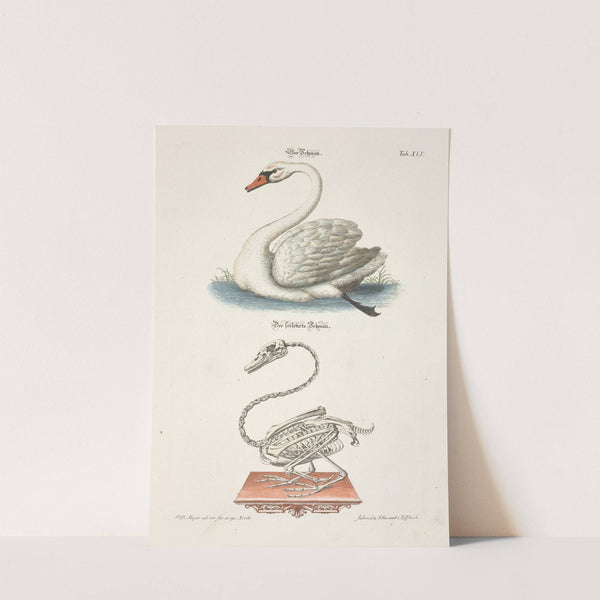 Angenehmer und nützlicher Zeit-Vertreib Pl.045 (1748) by Johann Daniel Meyer