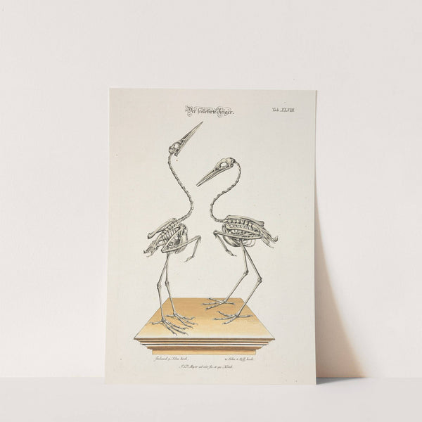 Angenehmer und nützlicher Zeit-Vertreib Pl.048 (1748) by Johann Daniel Meyer