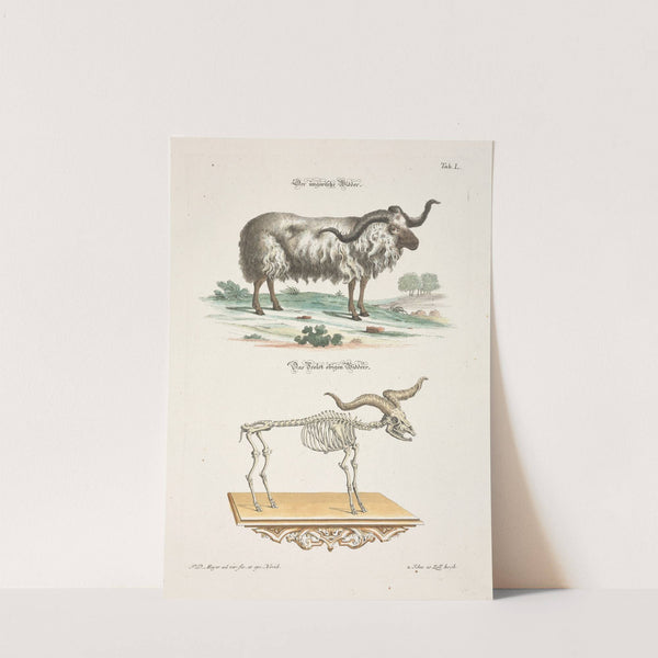 Angenehmer und nützlicher Zeit-Vertreib Pl.050 (1748) by Johann Daniel Meyer