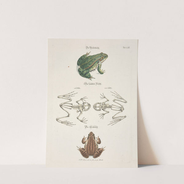 Angenehmer und nützlicher Zeit-Vertreib Pl.052 (1748) by Johann Daniel Meyer