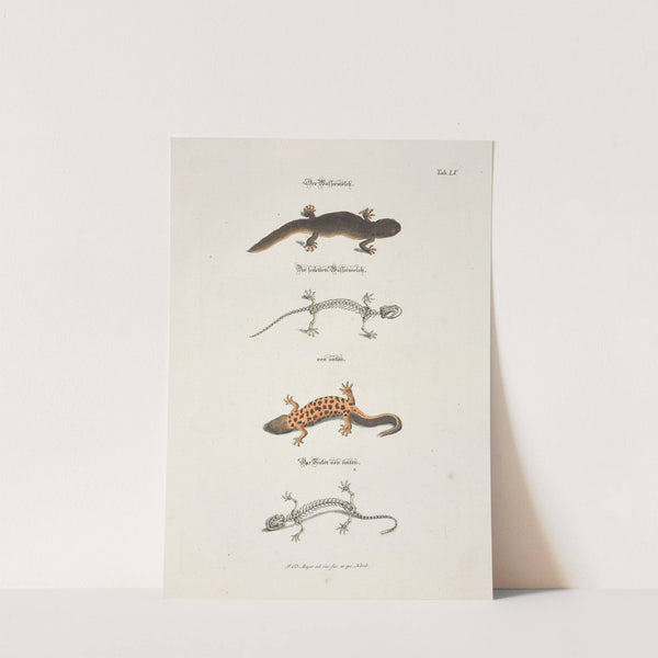 Angenehmer und nützlicher Zeit-Vertreib Pl.055 (1748) by Johann Daniel Meyer