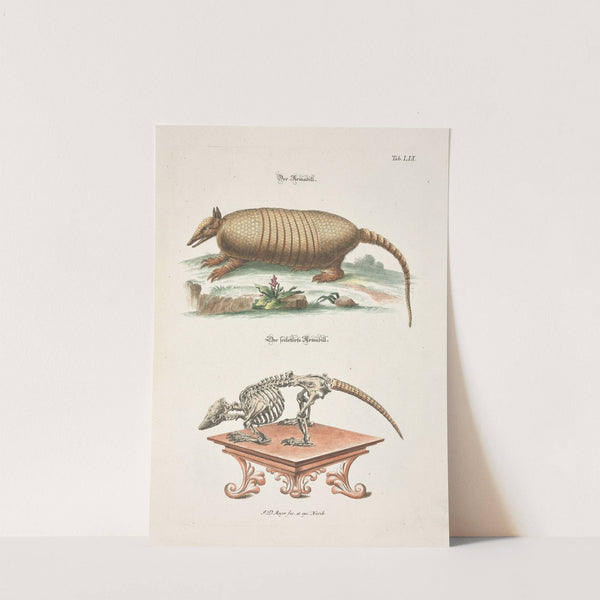 Angenehmer und nützlicher Zeit-Vertreib Pl.059 (1748) by Johann Daniel Meyer